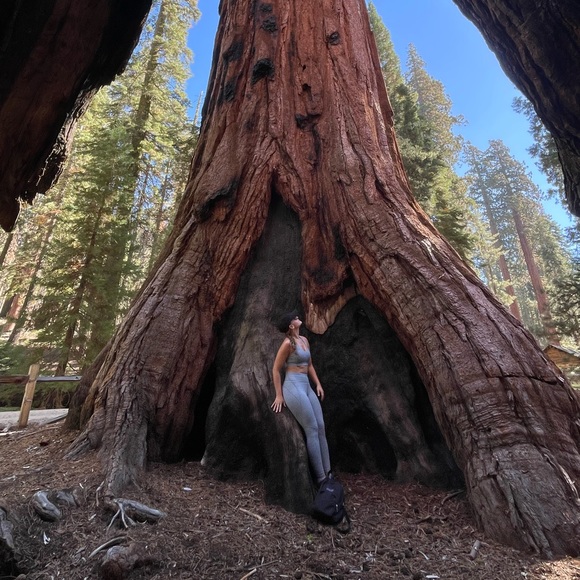 Meet your Posher, Haley - Picture 5 of 5